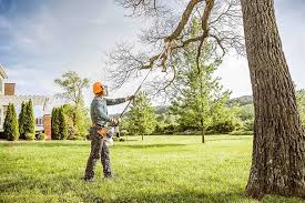 Best Fruit Tree Pruning  in Funny River, AK