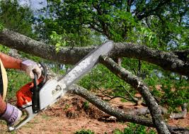 Best Emergency Tree Removal  in Funny River, AK