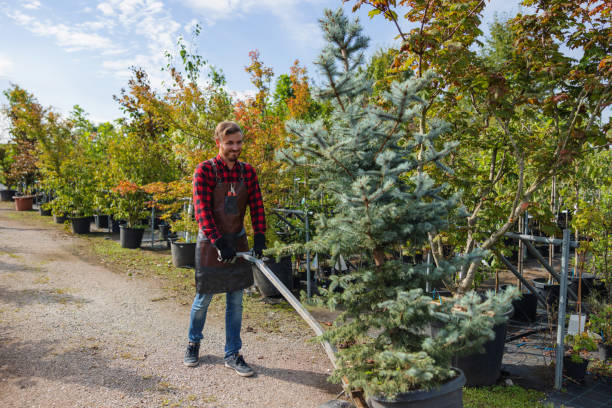 Best Hazardous Tree Removal  in Funny River, AK